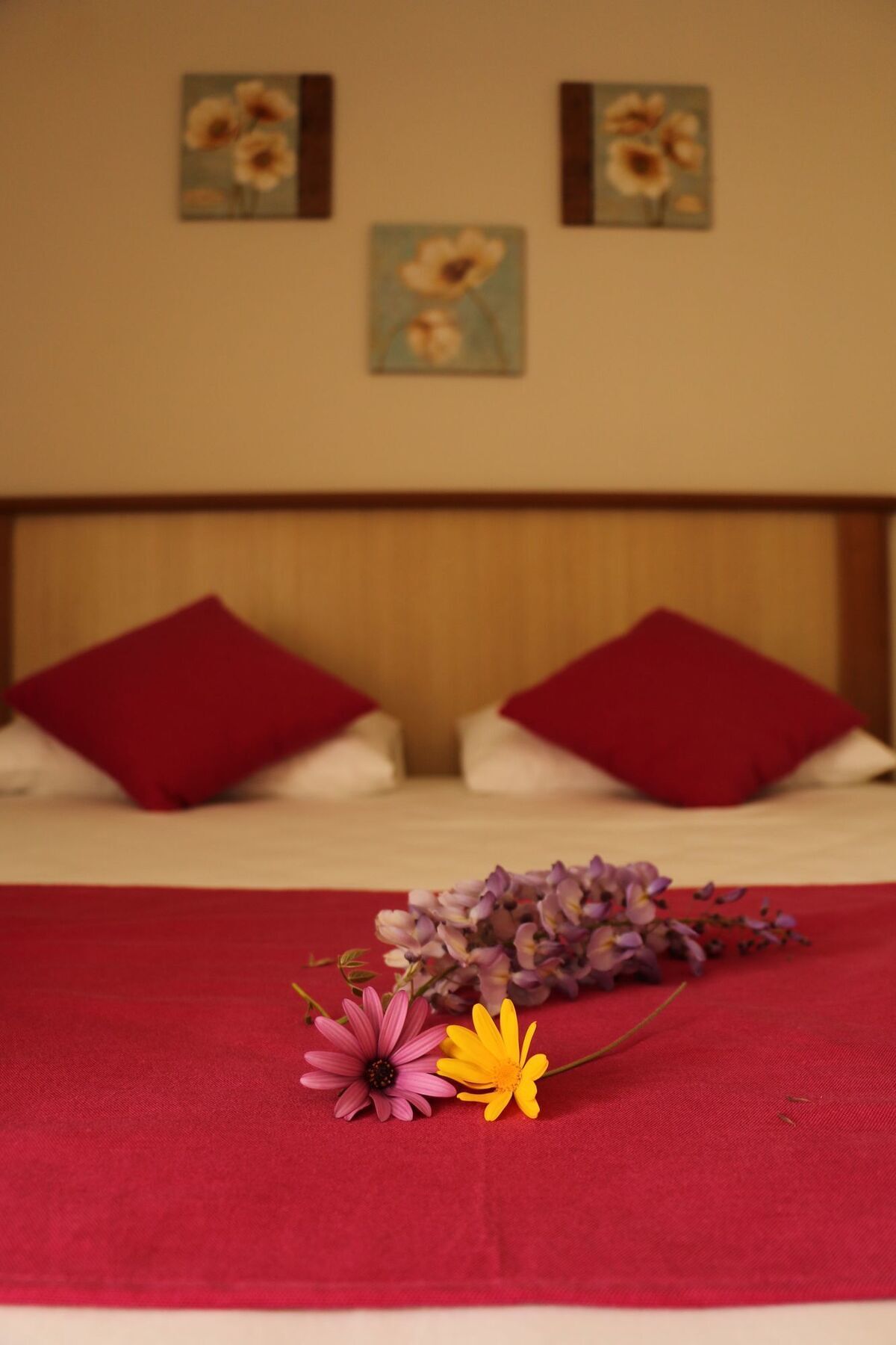Cunda Sir Hotel Ayvalı Kültér fotó